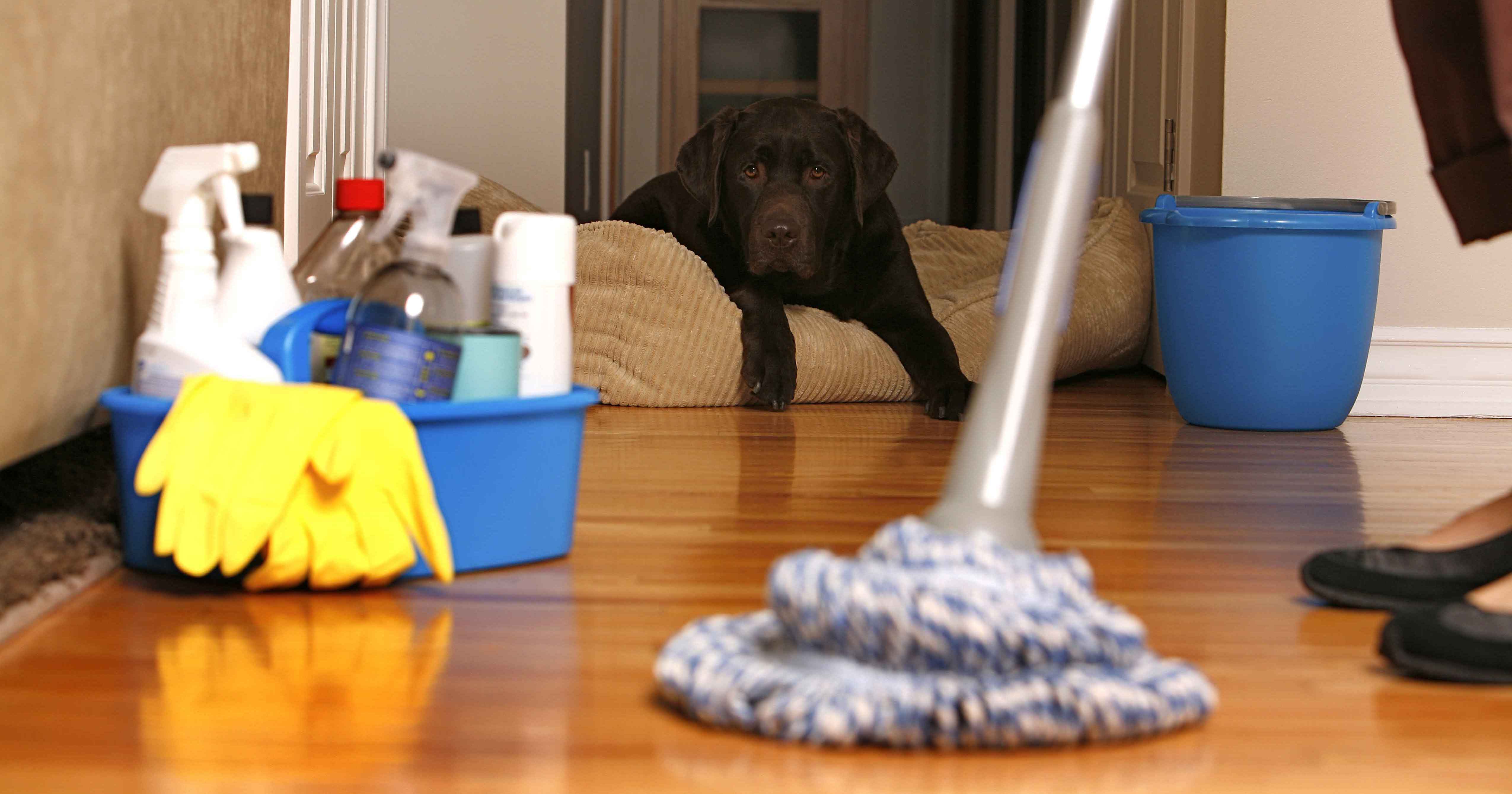 شركة تنظيف منازل بالدمام